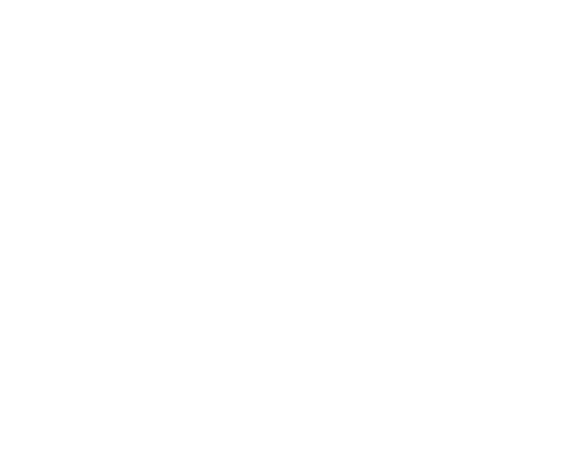 logo light